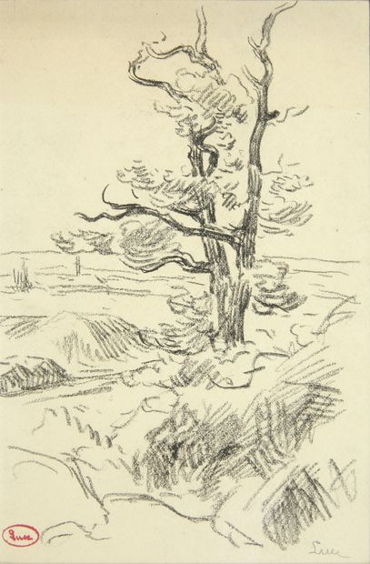 Maximilien LUCE (1858 - 1941)
Étude d'arbres...