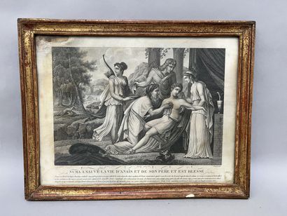 null Ecole néoclassique

Suite de quatre gravures figurant l'histoire de Numa Pompilius...