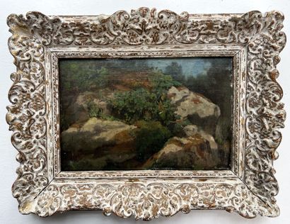 Alexandre THIOLLET (1824-1895)

Les rochers

Huile...