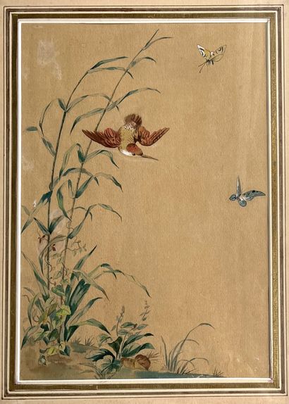 null ÉCOLE MODERNE
Oiseaux et papillons
Gouache aquarellée. 
 38 x 26 cm.

---
ENLÈVEMENT...