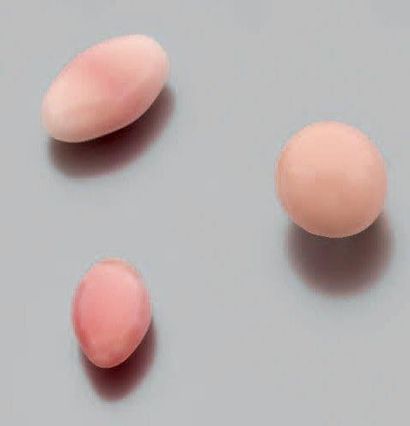 null LOT DE TROIS PERLES ROSES "pink pearls" de lambi (Strombus Gigas), l'une, ronde,...