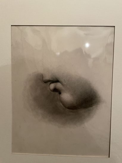 null MODERN SCHOOL 
Two studies of a mouth
Charcoal drawing and estompe 
27,5 x 22...