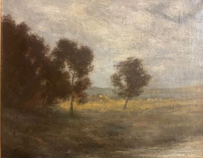 null Auguste Emmanuel POINTELIN (1839-1933)
Paysage aux arbres
Huile sur toile, signée
32...