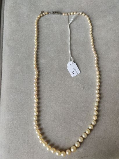 null Necklace of ninety-one falling cultured pearls, the white gold clasp set with...