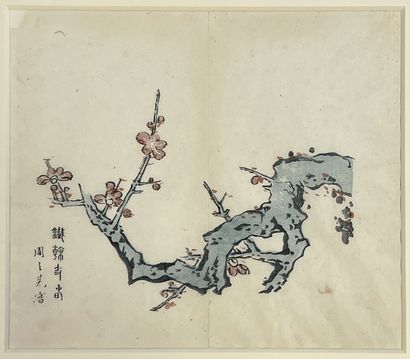 null CHINA - About 1900
Set of nine prints after the Studio of the ten bamboos (Shi...