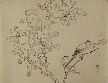 null Utagawa Hiroshige (1797-1858)
Uchiwa-e, sumizuri-e, Oiseau posé sur une branche...