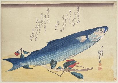 null Utagawa Hiroshige (1797-1858)
Oban yoko-e de la série Uwo-zukushi, les grands...