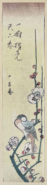 null Utagawa Hiroshige (1797-1858)
- Deux tanzaku, oiseau perché sur une branche...