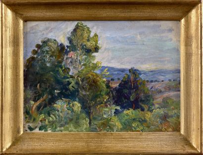 null Julie MANET ROUART (1878-1966)
Les environs du Mesnil
Huile sur toile.
24 x...