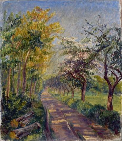 null Jeanne BAUDOT (1877-1957)
Chemin au printemps
Huile sur toile.
50 x 43 cm
