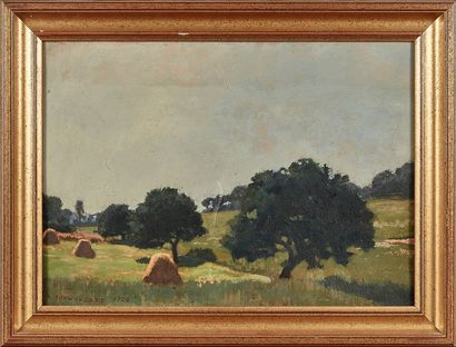 André NOUFFLARD (1885-1968)
Landscape with...