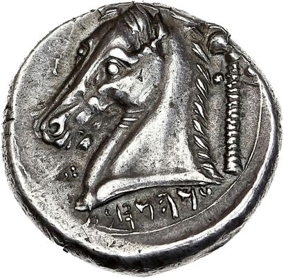 null ZEUGITANE
Entella
Tétradrachme (300-289 av. J.-C.). 17,40 g.
Tête d'Héraclès...