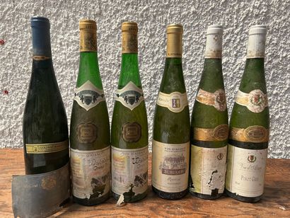 null 5 bouteilles ALSACE DIVERS (et, ea; 2 Pinot Gris Ville de Colmar 2008; 1 Scherer...