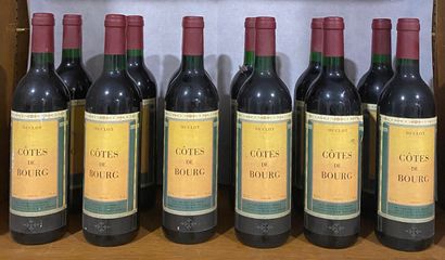 12 bouteilles CÔTES-DE-BOURG Duclot (très...