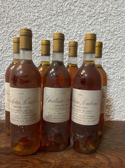 7 bouteilles Château LOUBENS, Ste-Croix-du-Mont...