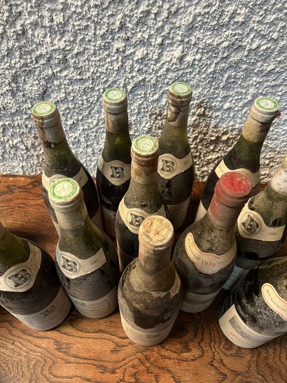 null 11 bouteilles BEAUJOLAIS DIVERS (et, ea, MB/B; 8 Paul Bocuse 1983; 2 Moulin-à-Vent...