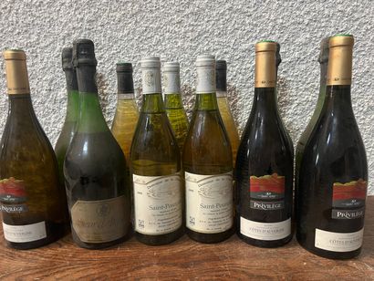 12 bouteilles BLANC DIVERS (Saint Pourçain,...