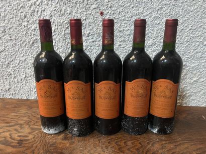 6 bouteilles CÔTES DE BOURG Mck SAS