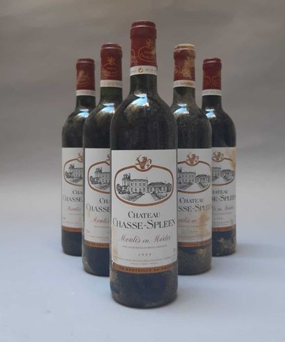 6 bouteilles Château CHASSE-SPLEEN, Moulis...