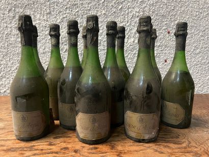 null 12 bouteilles BLANQUETTE DE LIMOUX Sieur D'Arques 1975 (et, ea; 6 MB, 5 B, 1...