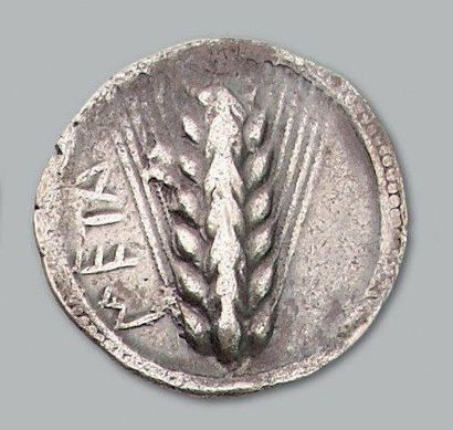 null LUCANIE Métaponte Statère (530-500 av. J.-C.). 7,80 g. Épi de blé. R/ Même type...