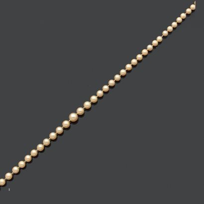 Necklace of seventy-two cultured pearls,...