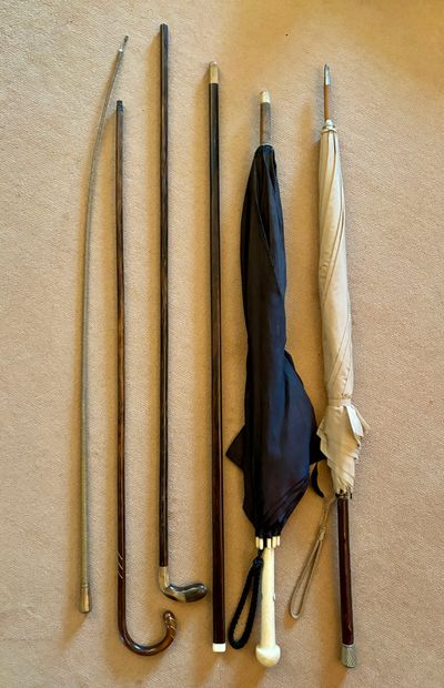 null MEETING of canes and umbrellas in precious wood, horn, bone and silver.