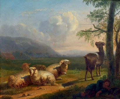 ÉCOLE BELGE du début du XIXe siècle Chèvre et moutons Huile sur panneau. 33,5 x 42,5...