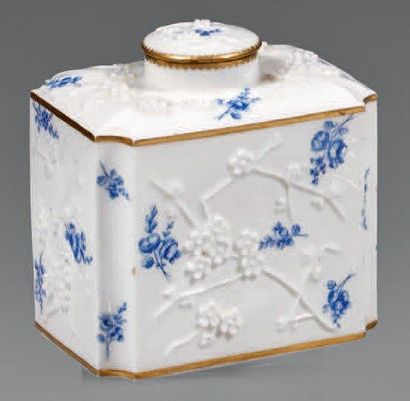 SÈVRES Grande boîte à thé couverte rectangulaire à coins arrondis, décor émaillé...