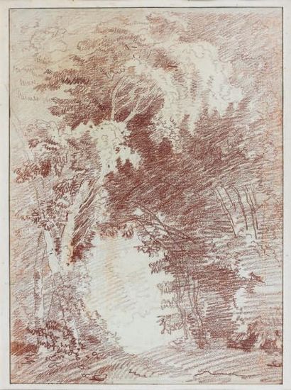 Entourage d'Hubert ROBERT (1733-1808) Étude de frondaison Sanguine. 36 x 26 cm
