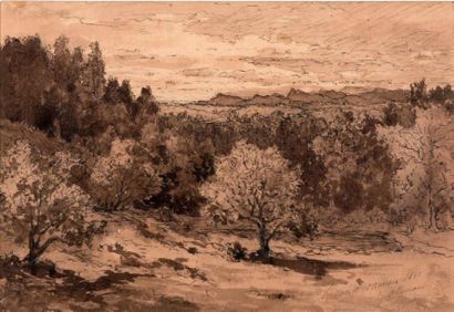 Hector ALLEMAND (1809-1889) Paysage Plume, lavis brun, signé, annoté "Le Canet 1880"...