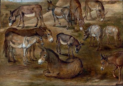 Atelier de Jan BRUEGHEL (1568-1625) Étude d'ânes Huile sur panneau, parqueté. 26,5...