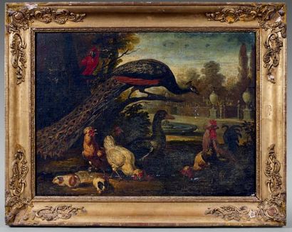 Attribué à Pieter III CASTEELS (1684-1749) Poules, paon, perroquet et cochons d'inde...