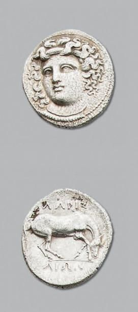 null THESSALIE Larissa (340-320 av. J.-C.) Drachme. 6,06 g. Tête de nymphe de face,...