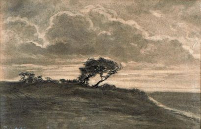 Auguste POINTELIN (1839-1933) Paysage Fusain, estompe, signé et daté 88. 23,8 x 37...