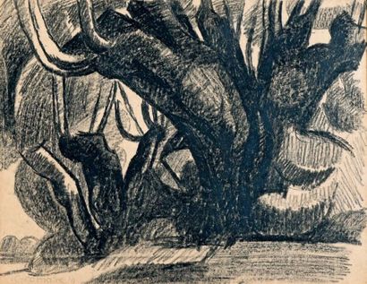 Marcel GROMAIRE (1892-1971) Le gros arbre, 1919 Dessin au fusain et à l'estompe,...