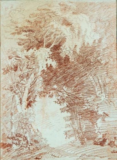 Entourage d'Hubert ROBERT (1733-1808) Étude de frondaison Sanguine. 36 x 26,2 cm