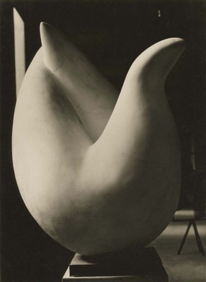 Marc VAUX (1895-1971) Sculpture de Jean Arp. Tirage argentique, circa 1930. 221 x...