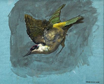 Ernest QUOST (1844-1931) Oiseau en vol Aquarelle, gouache. Cachet de l'atelier en...
