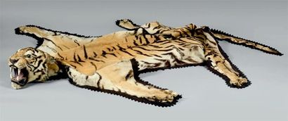 null Tigre d'Indochine (Panthera tigris corbetti) PEAU TANNÉE souple doublée et bordée...