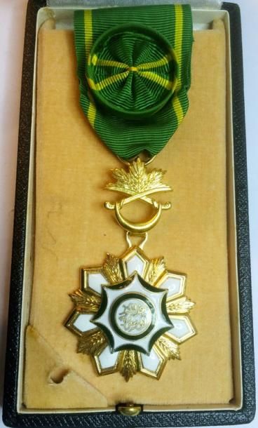 ARABIE SAOUDITE Ordre du roi Abdulaziz, étoile d'officier en bronze doré et émail,...