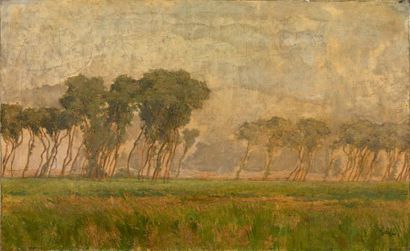 Fernand LANTOINE (1876-vers 1955) 
Paysage aux grands arbres, 1902
Huile sur toile,...