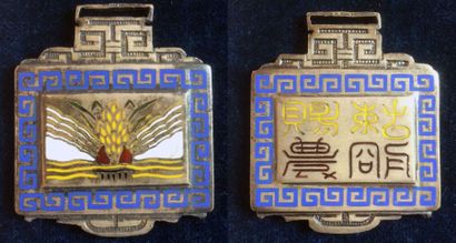 Annam Ordre du Mérite agricole, fondé en 1936, insigne de chevalier en bronze argenté...