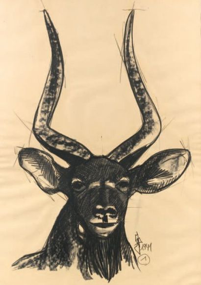 ANONYME Nyala de montagne Fusain sur papier bistre. Monogramme non identifié en bas...