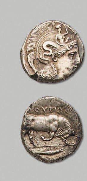 ITALIE - LUCANIE : Thurium (425-400 av. J.-C.). Distatère. 14,95 g. Tête d'Athéna...