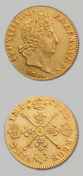 null - Louis d'or aux insignes. 1704. Paris. Réf. D. 1446 A TTB à superbe.