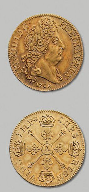 null - Louis d'or aux insignes. var. avec les cheveux longs. 1707. Paris. D. 1446...