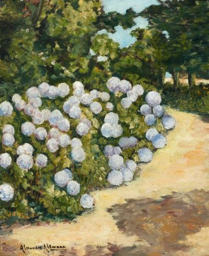 Alexandre ALTMANN (1885-1950) Le massif d'hortensias Huile sur carton toilé, signée...