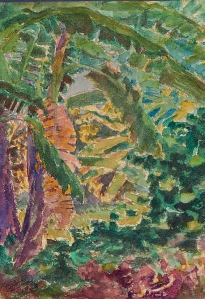 Henry de MONFREID (1879-1974)(nos 29 à 89) Éthiopie, palmiers à Coroso, île de Dahlak,...
