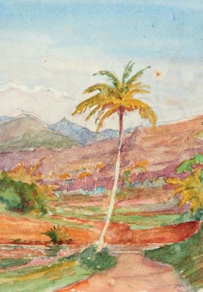 Henry de MONFREID (1879-1974)(nos 29 à 89) Éthiopie, palmier dattier
Aquarelle. 17,5...